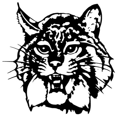Bobcat